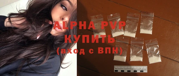 индика Краснотурьинск