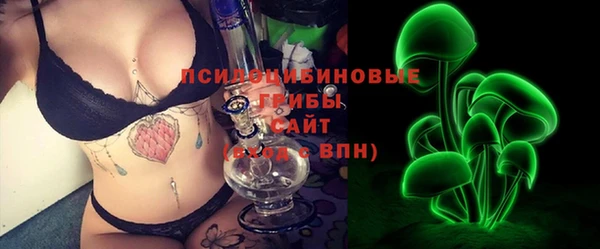 индика Краснотурьинск