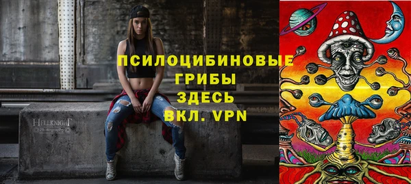 индика Краснотурьинск